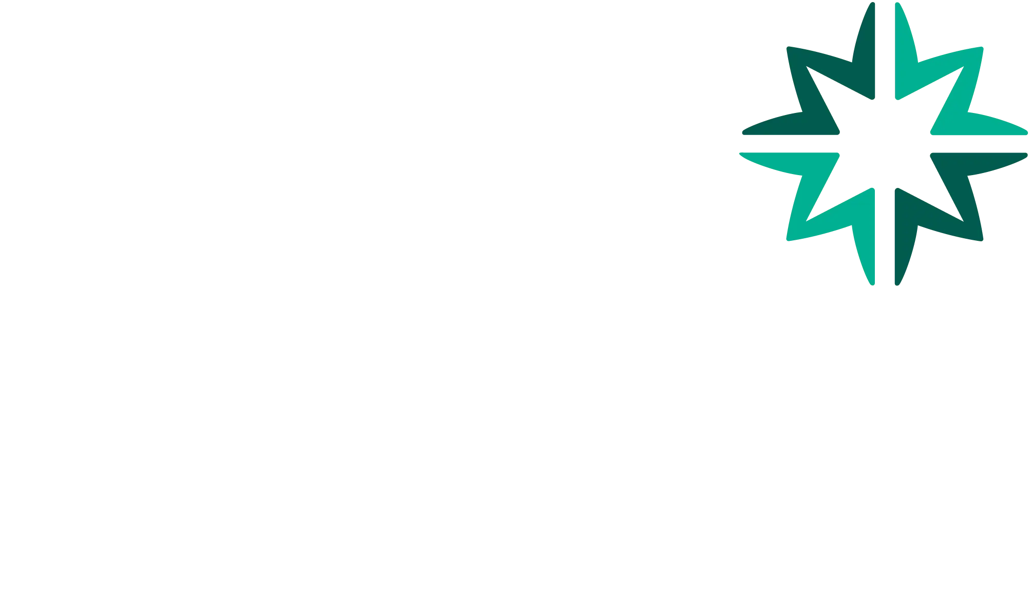 WPI Dark Logo
